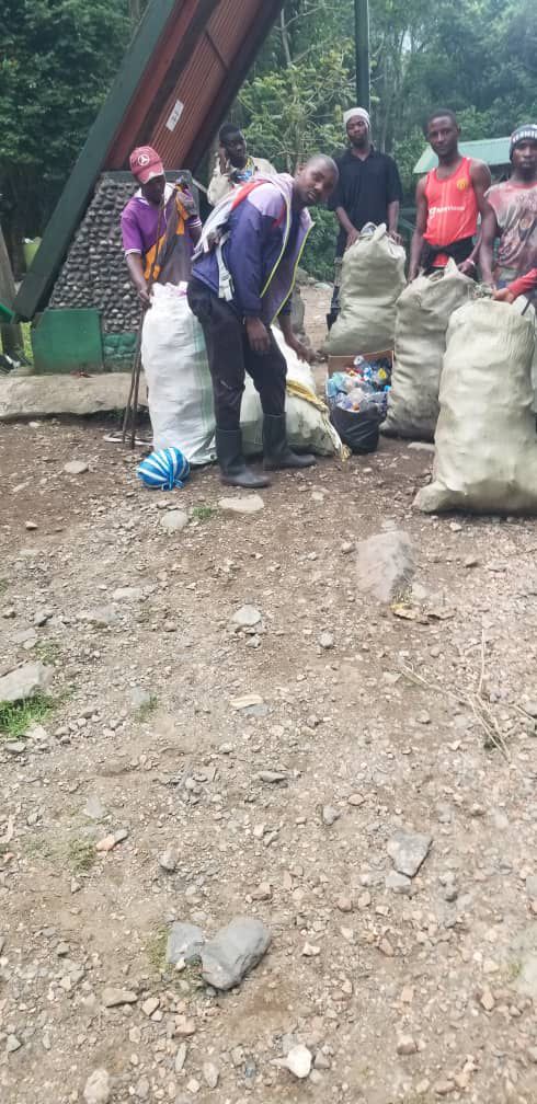 Trash Collection 18
