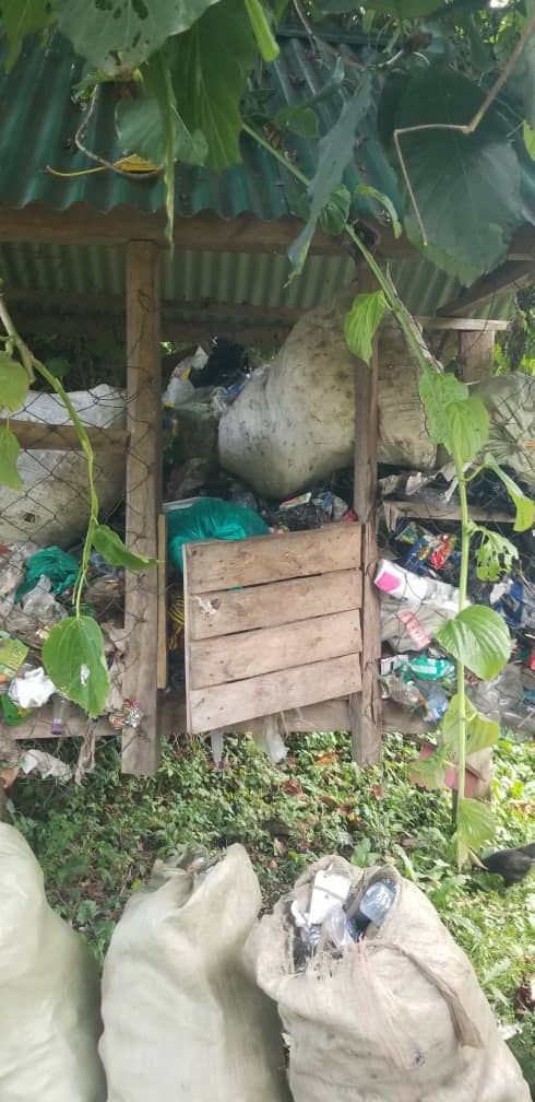 Trash Collection 19