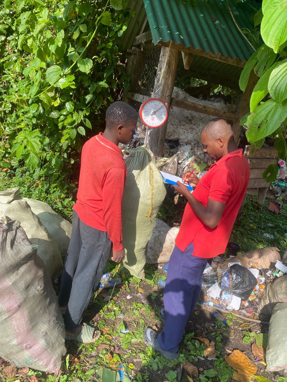 Trash Collection 41