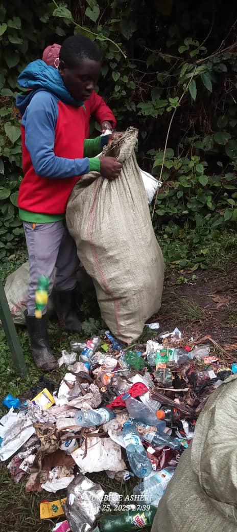 Trash Collection 50