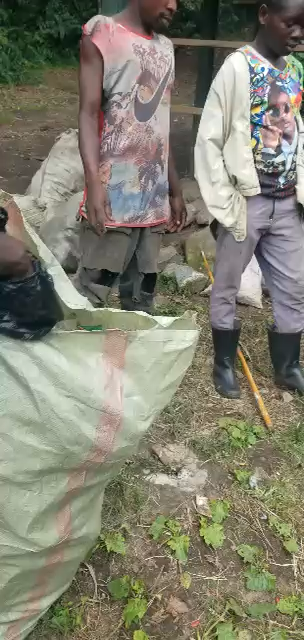 Trash Collection 44
