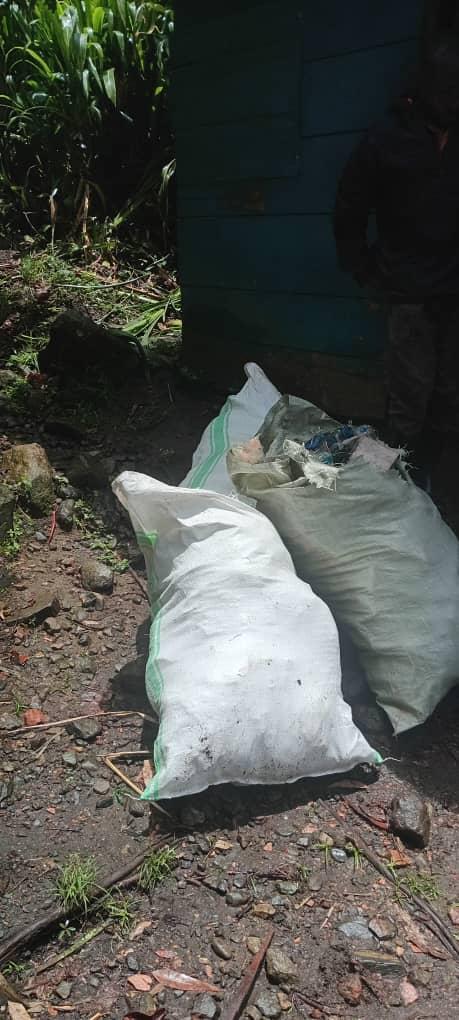 Trash Collection 5